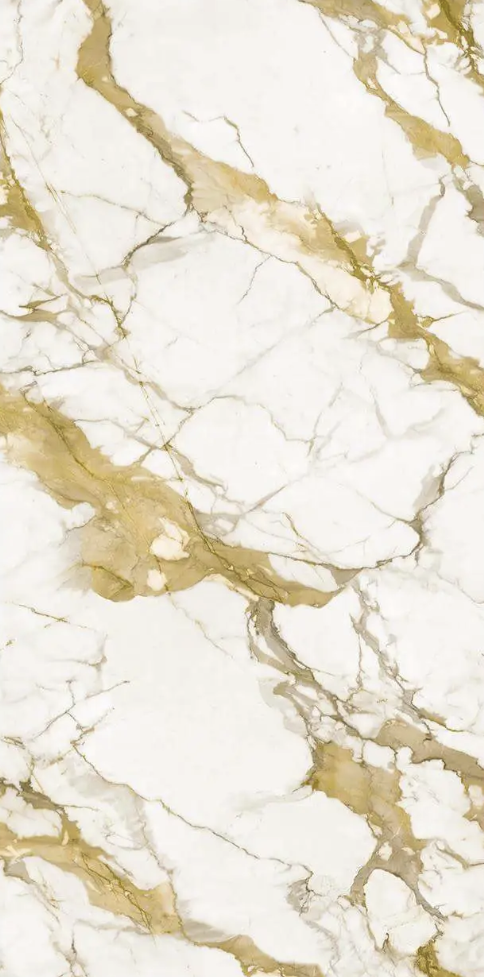 Calacatta Gold